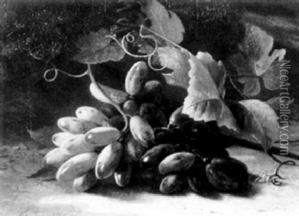 Still Life With Grapes Oil Painting - Carl Vilhelm Balsgaard