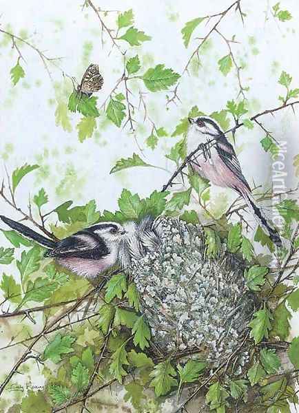 Birds Oil Painting - Michaelangelo Meucci