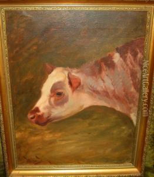 Study Of A Calf Oil Painting - Wright Barker
