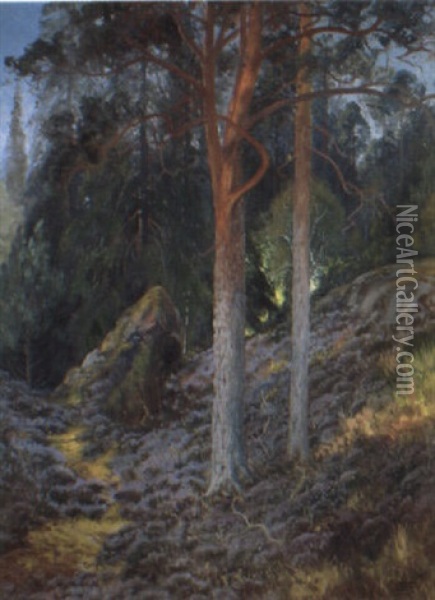 Skogslandskap Med Tallar Oil Painting - Carl Brandt