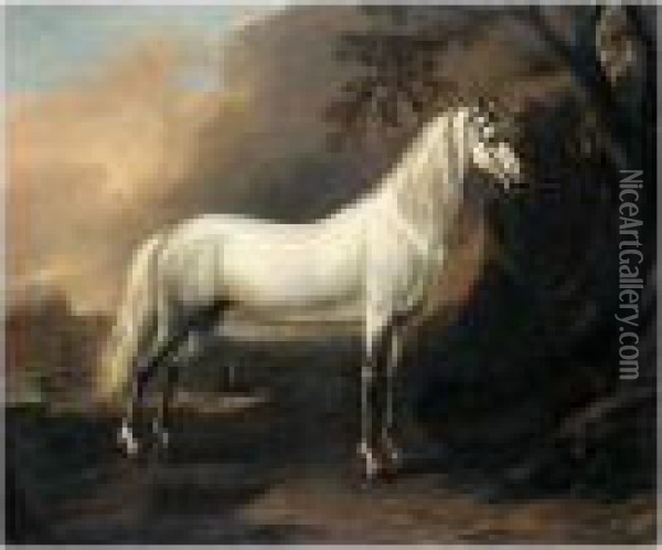 A Grey Arab Stallion In A Landscape Oil Painting - Jan Wyck