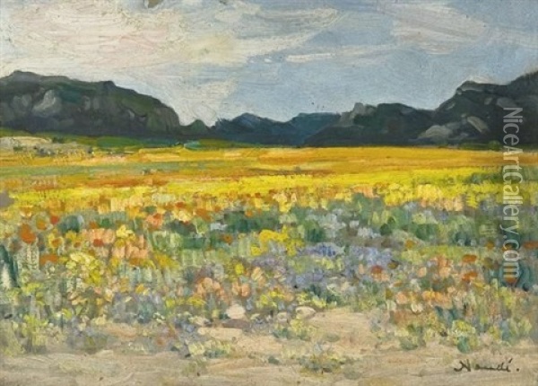 Namaqualand Oil Painting - Pieter Hugo Naude