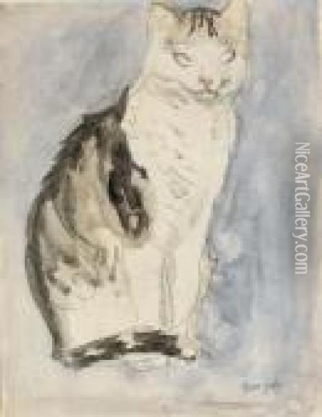 Study Of A Cat Oil Painting - Gwendolen John
