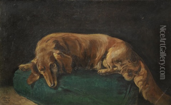 Portrait Of A Daschshund On A Green Cushion Oil Painting - Ernst Dorn