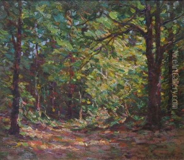 A Glen Of Sunshine Oil Painting - Walter Sargent