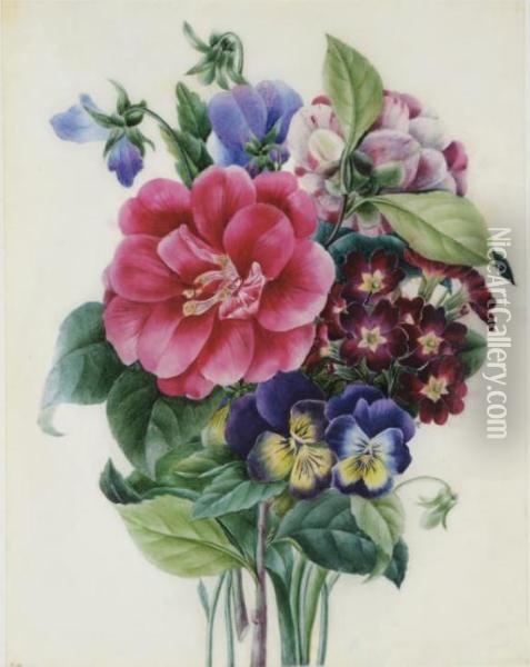 Bouquet De Pivoines, Pensees Et Auriculae Oil Painting - Pierre-Joseph Redoute