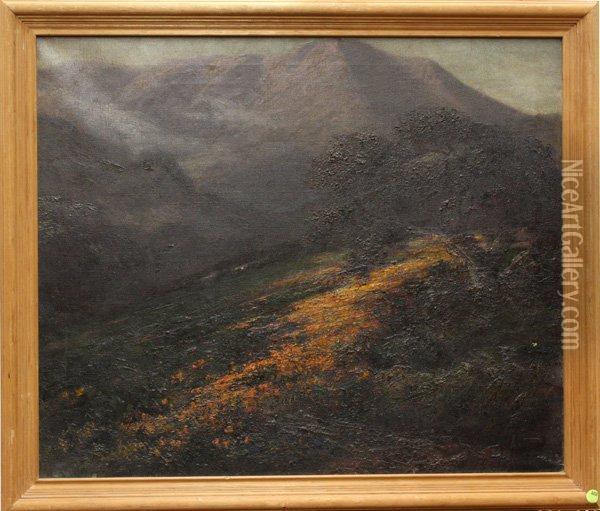 Poppies Along The Hillside Oil Painting - Jules Mersfelder