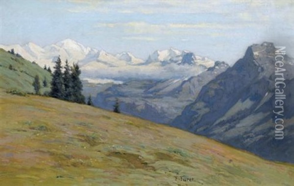 Gebirgspartie Mit Alpenkette Oil Painting - Francois Furet