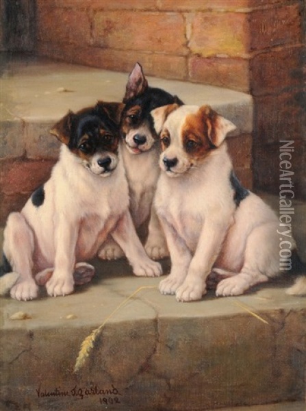 Drei Welpen Oil Painting - Valentine Thomas Garland