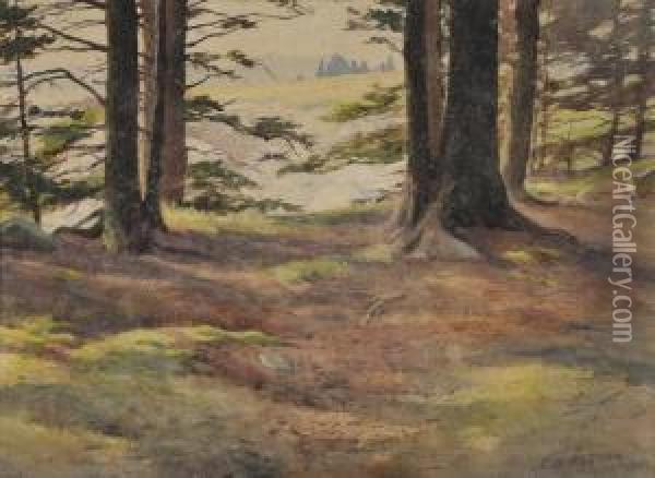 The Edge Of The Wood Oil Painting - Harold Broadfield Warren