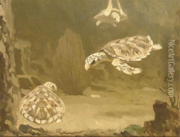 Schildpadden: Turtles Oil Painting - Gerrit Willem Dijsselhof