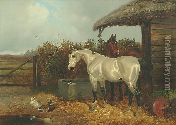 A Bay And Grey Horse In A Stable Yard With Ducks Oil Painting - Colin Graeme Roe