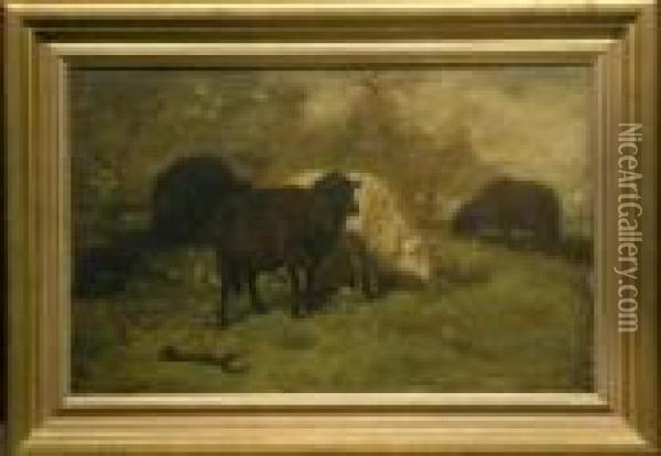 Sheep Grazing Oil Painting - Charles Emile Jacque