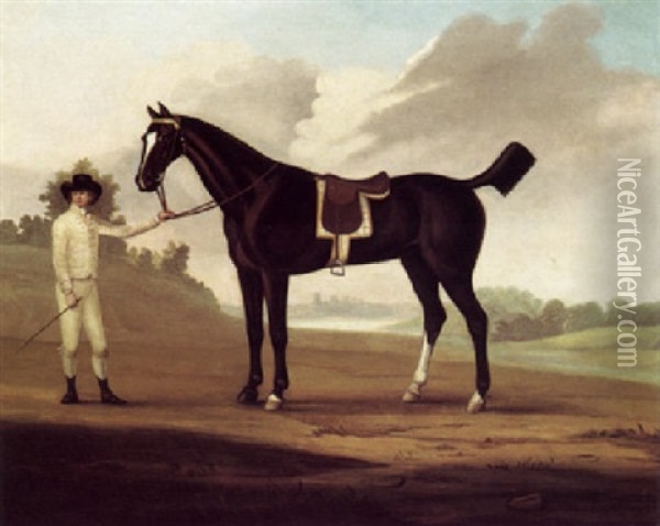 Firetail, A Bay Hunter Held By A Groom In A Landscape Oil Painting - Francis Sartorius the Elder