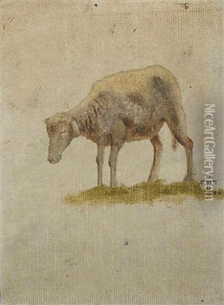 A Study Of A Sheep Oil Painting - Johan Thomas Lundbye