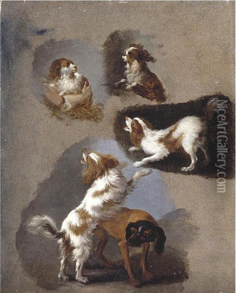 A Study Of Five Spaniels Oil Painting - Adriaen de Gryef