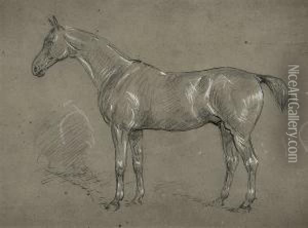 Study Of A Horse Oil Painting - J. Duvall