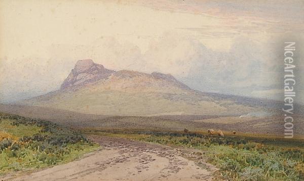 View Over Moorland Oil Painting - Frederick John Widgery