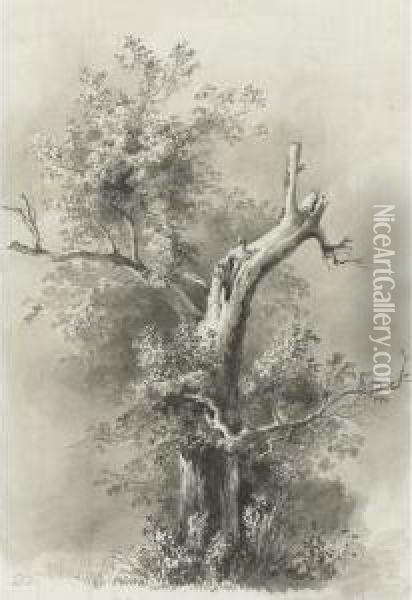 Tree Study And Man Leaning On A Stick Oil Painting - Jean-Jacques De Boissieu