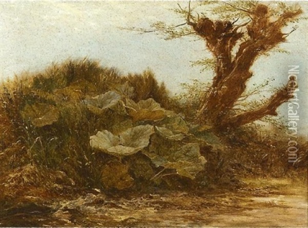 Study A Butter Burr And A Pollarded Willow Oil Painting - Samuel Bough