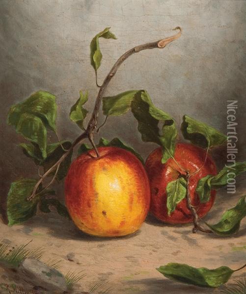 Still Life With Apples Oil Painting - William Rickarby Miller