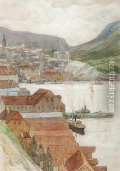 Bergen Noorw Oil Painting - Nicolaas Van Der Waay