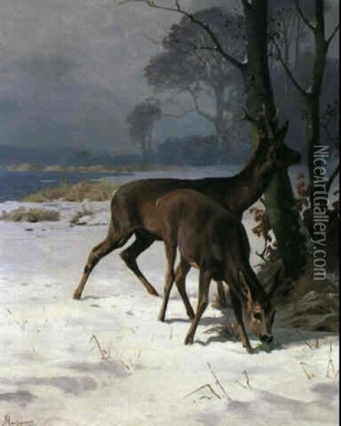 Rehe Am Waldesrand Oil Painting - Adolf Heinrich Mackeprang