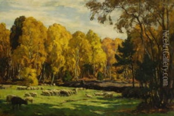 Schafe Auf Der Weide Vor Herbstlichem Birkenwald Oil Painting - Hans von Hayek
