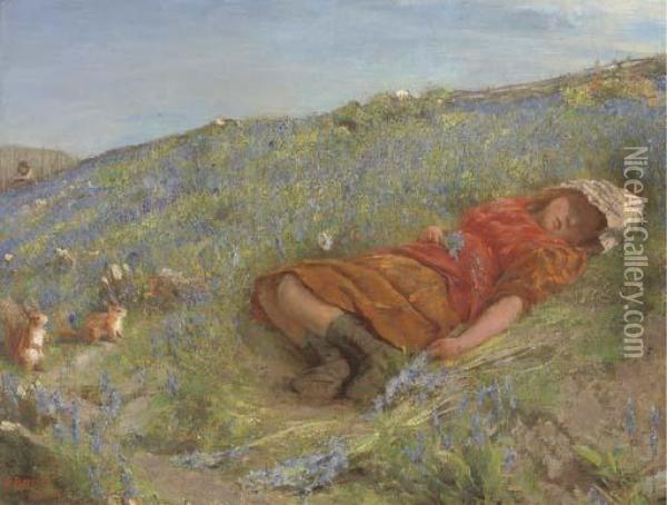 Asleep In The Meadow Oil Painting - Edgar Barclay