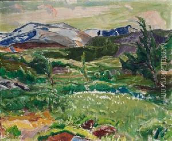 Fra Fjellet. Myrull 1919 Oil Painting - Lars Jorde