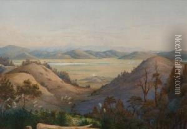View Of The Mangatawhiri Swamp Frompokeno - Koheroa Pah In The Distance Oil Painting - Alfred Sharpe