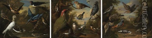 Ornamental Birds In A Landscape Oil Painting - Charles Collins