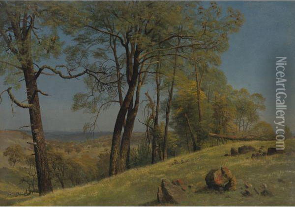 Rockland County, California Oil Painting - Albert Bierstadt