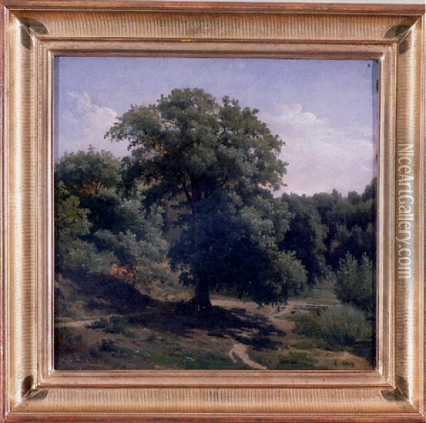 View Of A Forest Path, Fontainebleau Oil Painting - Francois Antoine Leon Fleury