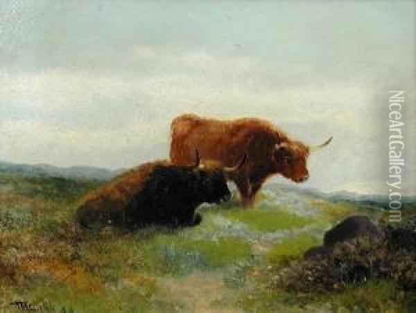 Studies Ofhighland Cattle Oil Painting - Thomas Henry Gibb