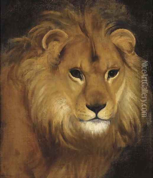 The head of a lion Oil Painting - English School