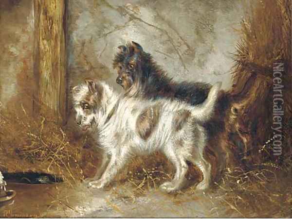 Mischevious terriers in a barn Oil Painting - Robert Cleminson