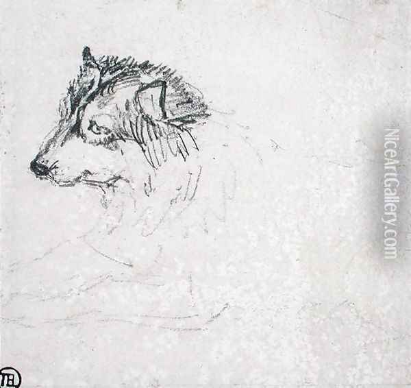 Arctic dog, facing left Oil Painting - James Ward