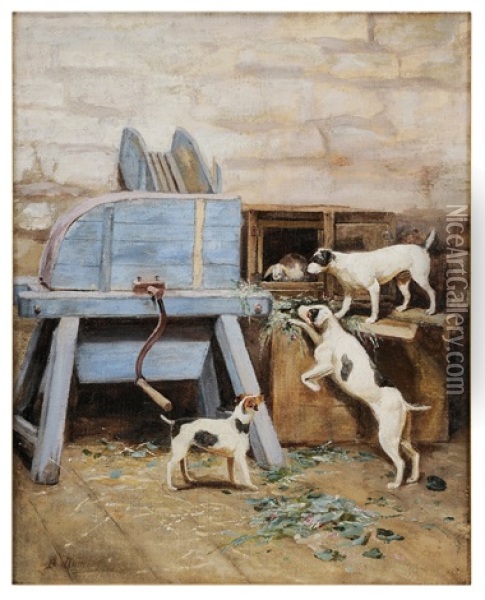 Jack Russell Terriers With A Caged Rabbit Oil Painting - Edwin Bottomley