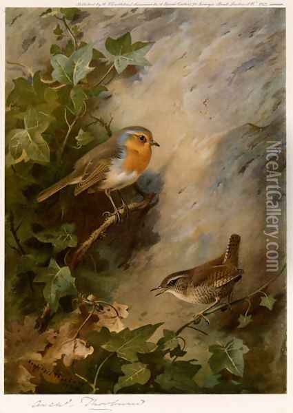 Robin and Wren Oil Painting - Archibald Thorburn