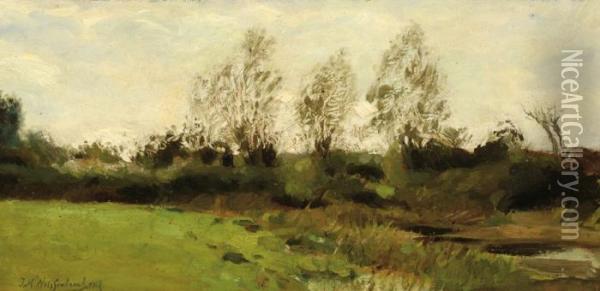 Landscape Oil Painting - Jan Hendrik Weissenbruch