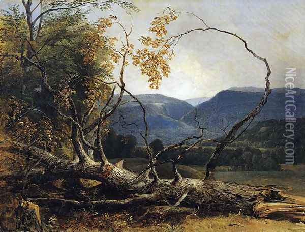 Study from Nature, Stratton Notch, Vermont Oil Painting - Asher Brown Durand