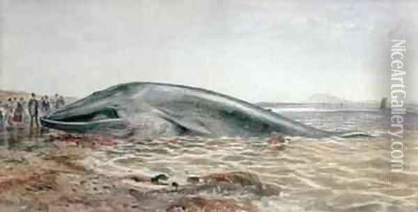 The Aberlady Whale, Longriddy Bay Oil Painting - Samuel Bough