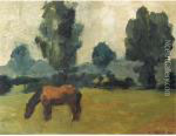 A Horse In The Meadow Oil Painting - Karl Appel