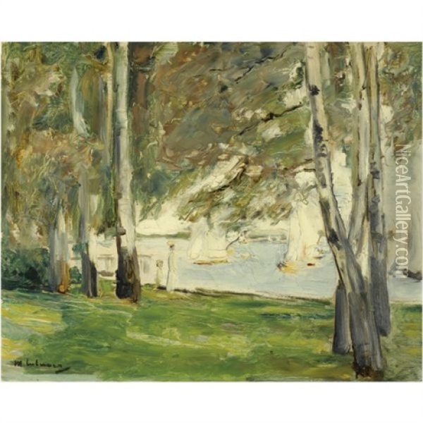 Birken Am Wannseeufer Nach Osten (birch Trees On The Banks Of Wannsee, To The East) Oil Painting - Max Liebermann