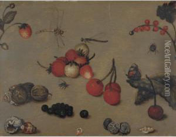 Still Life Studies Of Cherries, Shells, Berries, Peapods, Coins And Insects Oil Painting - Georg Flegel