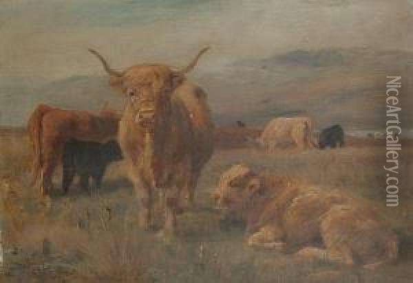 Cattle In A Field. Oil Painting - Joseph Denovan Adam