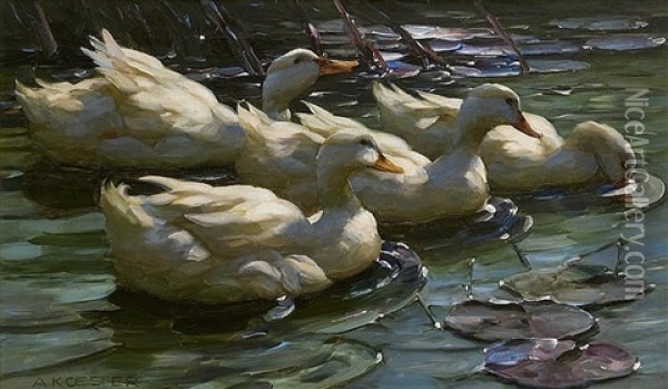 Four Ducks On A Pond With Water Lilies Oil Painting - Alexander Max Koester