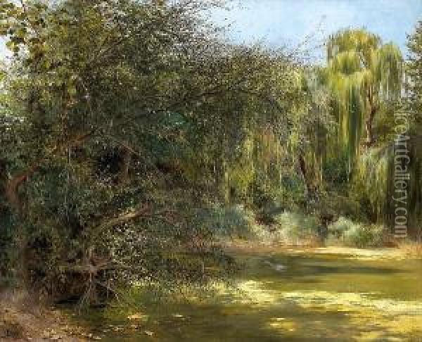 A Shady Pond Oil Painting - Jose Pinelo Llull
