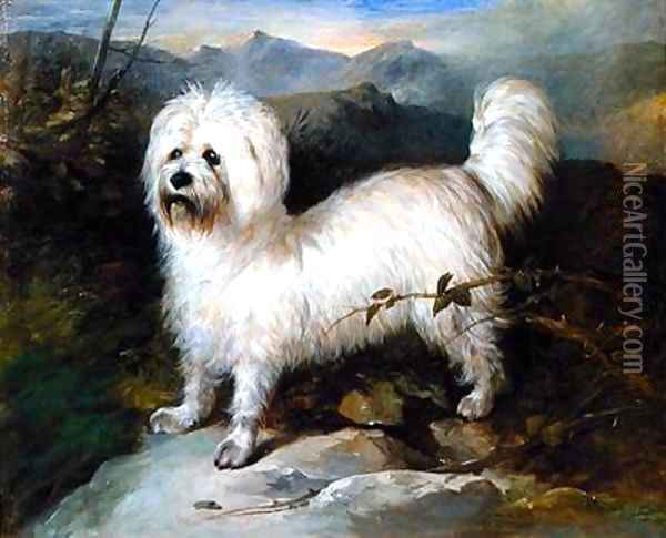 Small White Dog in a Landscape Oil Painting - Samuel Coleman